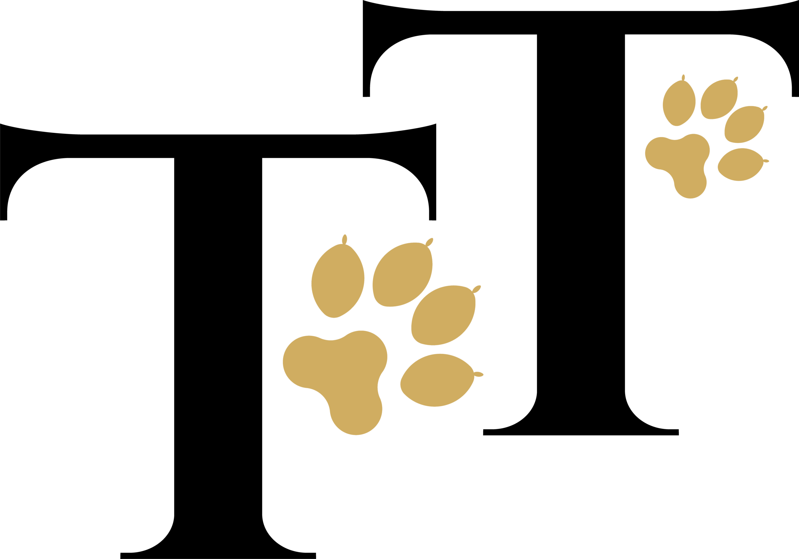 Mode Hund Katze